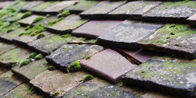Whiteleaf roof repair costs